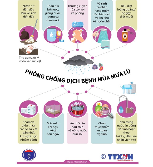 INFOGRAPHIC: PHÒNG CHỐNG DỊCH BỆNH SAU BÃO LỤT VÀ MƯA LŨ