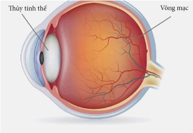 CHẤN THƯƠNG MẮT – MỐI NGUY HIỂM KHÔNG THỂ CHỦ QUAN