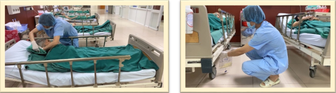 NHỮNG BÔNG HỒNG HỘ LÝ THẦM LẶNG