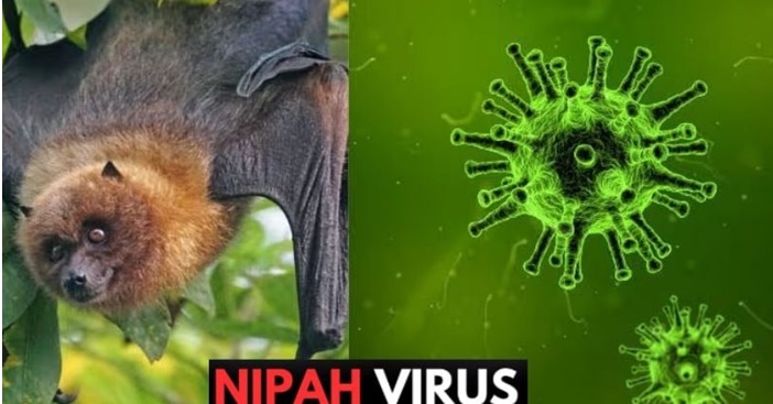BỘ Y TẾ HOẢ TỐC NHẮC CÁC CƠ SỞ KHÁM CHỮA BỆNH CHỦ ĐỘNG PHÒNG CHỐNG BỆNH DO VIRUS NIPAH